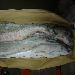 РЫБОПРОДУКЦИЯ