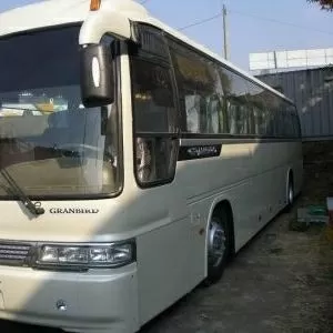 Корейский туристический автобус Kia Granbird 2008 год