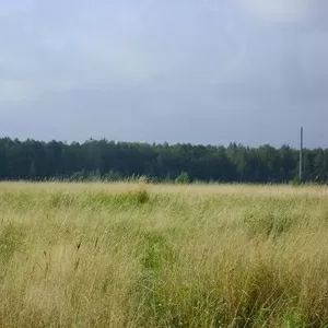 Сад. участок в Ириновке продам за 60 тыс. руб.