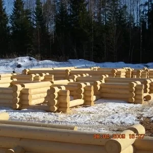 Срубы домов и бань из Костромы