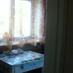 Челябинская область,  с. Шумово,  ул. Мира