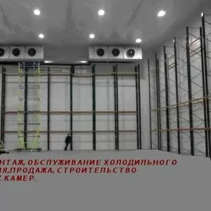 Монтаж ХОЛОДИЛЬНОГО ОБОРУДОВАНИЯ,  продажа,  стр-во  ХОЛОДИЛЬНЫХ КАМЕР