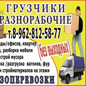 ГРУЗЧИКИ. СБОРЩИКИ МЕБЕЛИ. ГАЗЕЛИ. ФУРГОНЫ. тел:8-962-812-5877