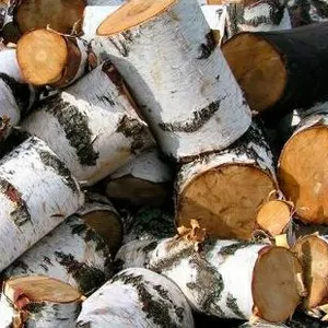 Березовые дрова по низкой цене 