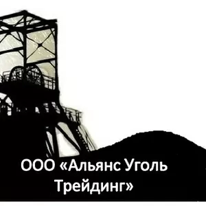Уголь каменный,  фасованный,  брикетированный
