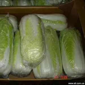 Капуста пекинская из Польши по цене производителя!!!