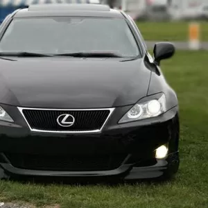 ангельские глазки LEXUS продам