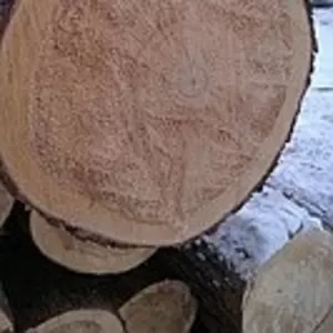 Бревно(кедр, сосна, ель), брус(кедр,  лиственница),  плаха(кедр, листвен.)