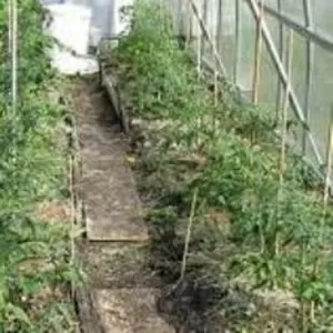 Опора для садовых растений стеклопластиковая 