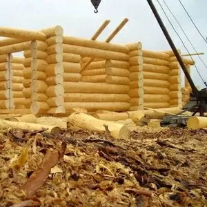 Cрубы бань и домов от 49900 руб! Доставка по РФ!