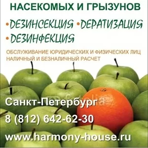 Средства от насекомых и грызунов.