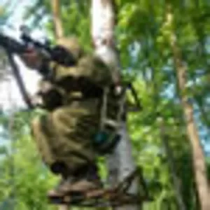 Лабаз самолаз для засидки на дереве
