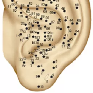 аурикулярная рефлексотерапия Пересвет
