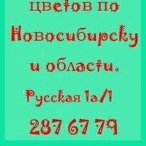 Цветы. Доставка цветов круглосуточно. 200@% скидки! Акции! Подарки