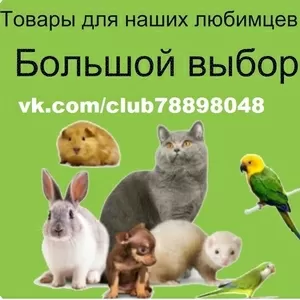 Товары для домашних животных