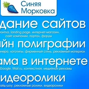 Разработка сайтов,  web-программирование,  дизайн любой сложности