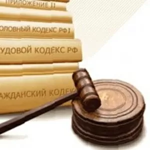 Правовая защита. Работаю с физ. и юр. лицами. 