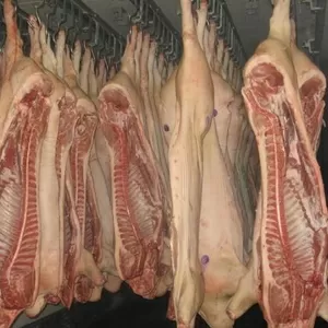 Мясо оптом (свинина,  говядина)