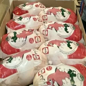 Продажа замороженного куриного мяса