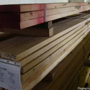 Дуб,  бук производство и продажа