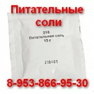 Купить питательные соли,  Сухие Активированные Дрожжи,  оптом в розницу, 