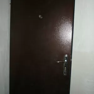 Входные металлические двери