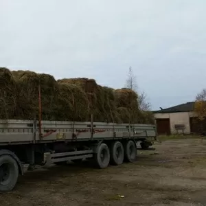 Шаланда в аренду от собственника в СПб