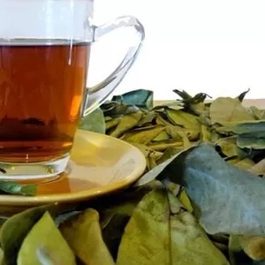 Короссоль Африканский чай. Природное исцеление.