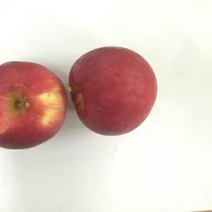 Калиброванные яблоки