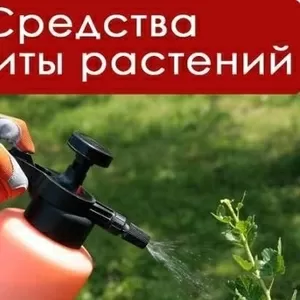 Покупаем средства защиты растений