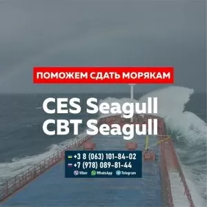 Поможем сдать Seagull CES,  Seagull CBT и др. тесты для моряков