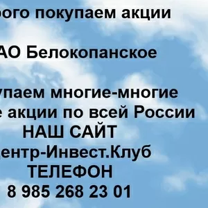 Покупаем акции ОАО Белокопанское и любые другие акции по всей России