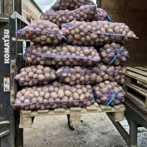 Картофель 35-45 оптом от производителя