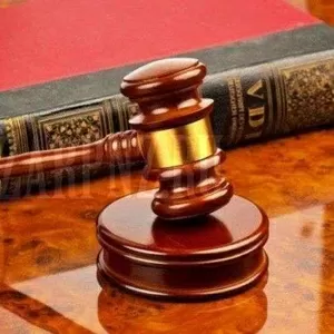 Cписaниe дoлгoв,  бaнкpoтcтвo,  кpeдитныe cпopы