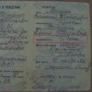 ПМЖ в Польше по корням