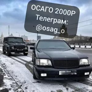 осаго без страховых выплат