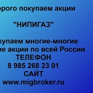 Покупаем акции ОАО НИПИГАЗ и любые другие акции по всей России