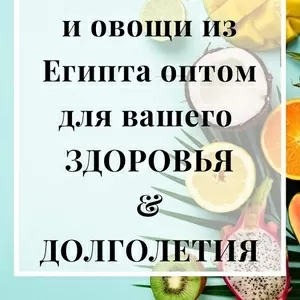 Фрукты овощи из Египта оптом.