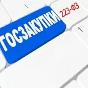 Услуги юриста по госзакупкам. Тендерное сопровождение под ключ,  Москва