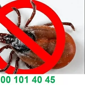 Уничтожение клещей . Работаем по всему региону .