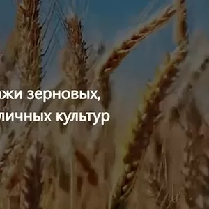 ООО Агропром - оптовая реализация продуктов питания экспорт