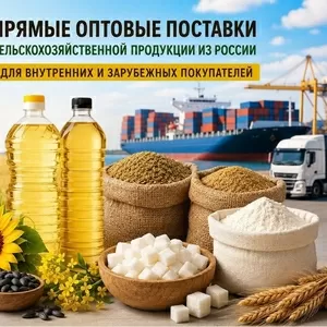 Сельхозпродукция оптом из России - масла,  шрот,  мука,  сахар на экспорт