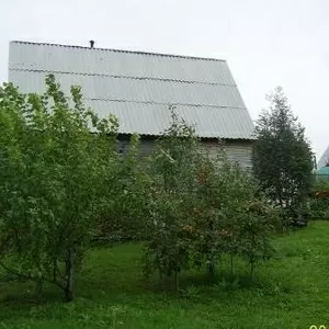 Продам  дом в хорошие руки