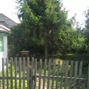 Дом в Пронском р-не