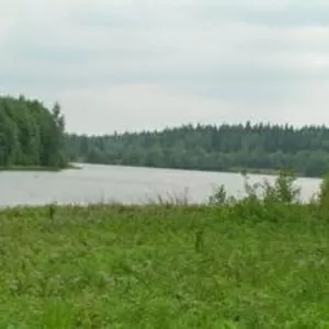 Продаю дом  в деревне 30 соток,  рядом с домом большое озеро