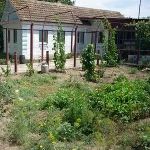 Дом в Ставропольском крае, Ипатовский район,  село Золотаревка. 120 км о