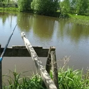 Дом,  пруд,  сад,  хоз.постройки.