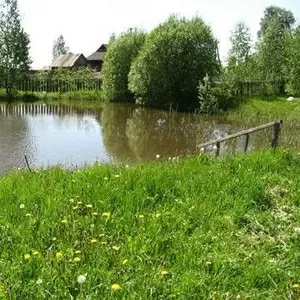 Поместь пруд,  сад,  дом.