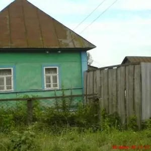 Дом на краю леса и реки