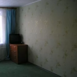 Волхов, Ленинградская область